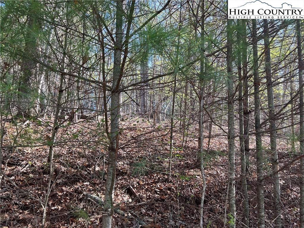 2 Acres of Residential Land for Sale in Jefferson, North Carolina