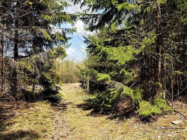 37 Acres of Recreational Land for Sale in Montreal, Wisconsin