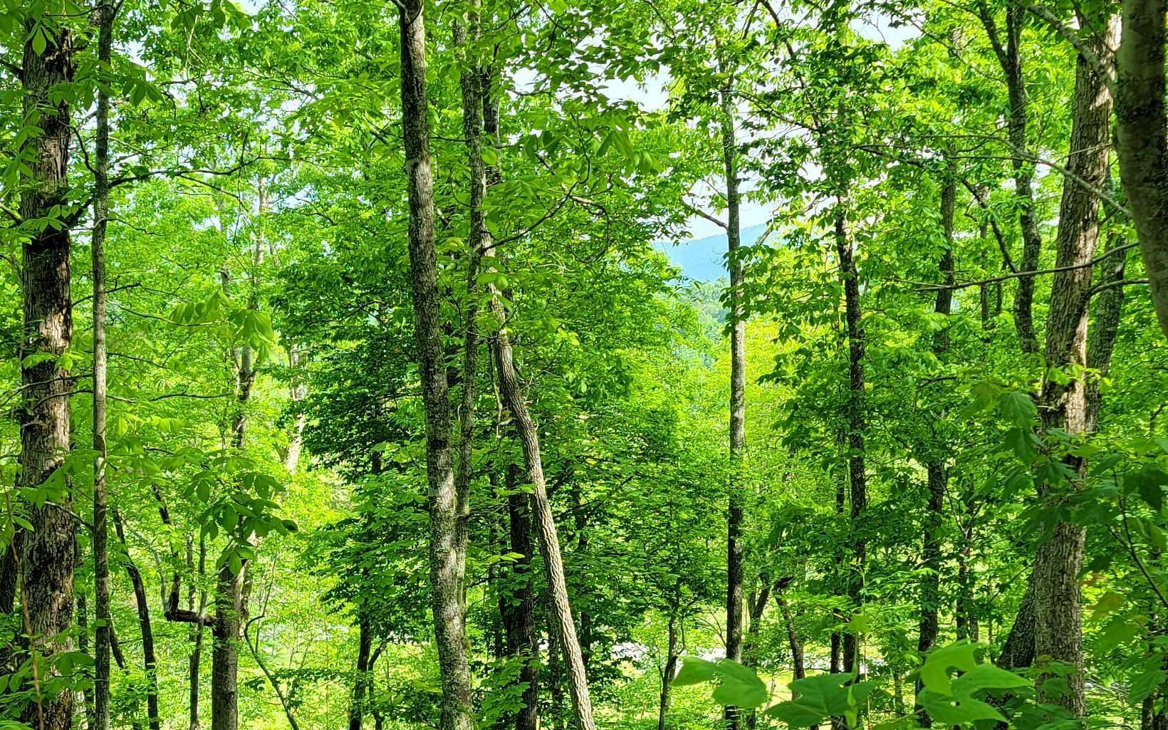 0.76 Acres of Residential Land for Sale in Hayesville, North Carolina