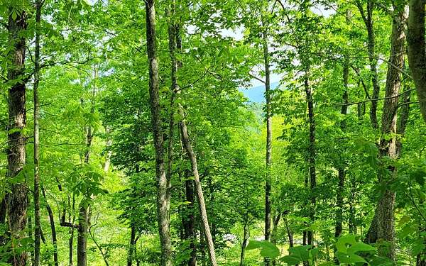 0.76 Acres of Residential Land for Sale in Hayesville, North Carolina