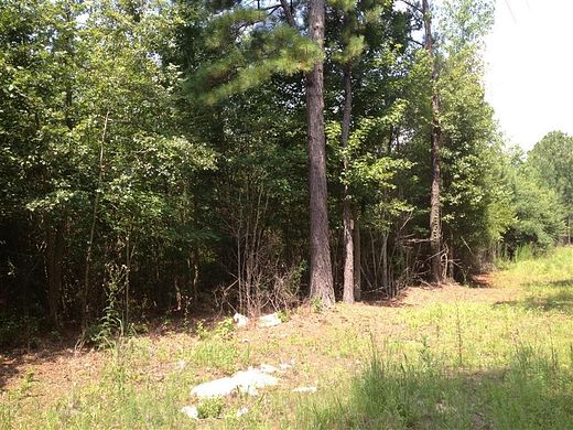 30 Acres of Recreational Land & Farm for Sale in Cottageville, South Carolina