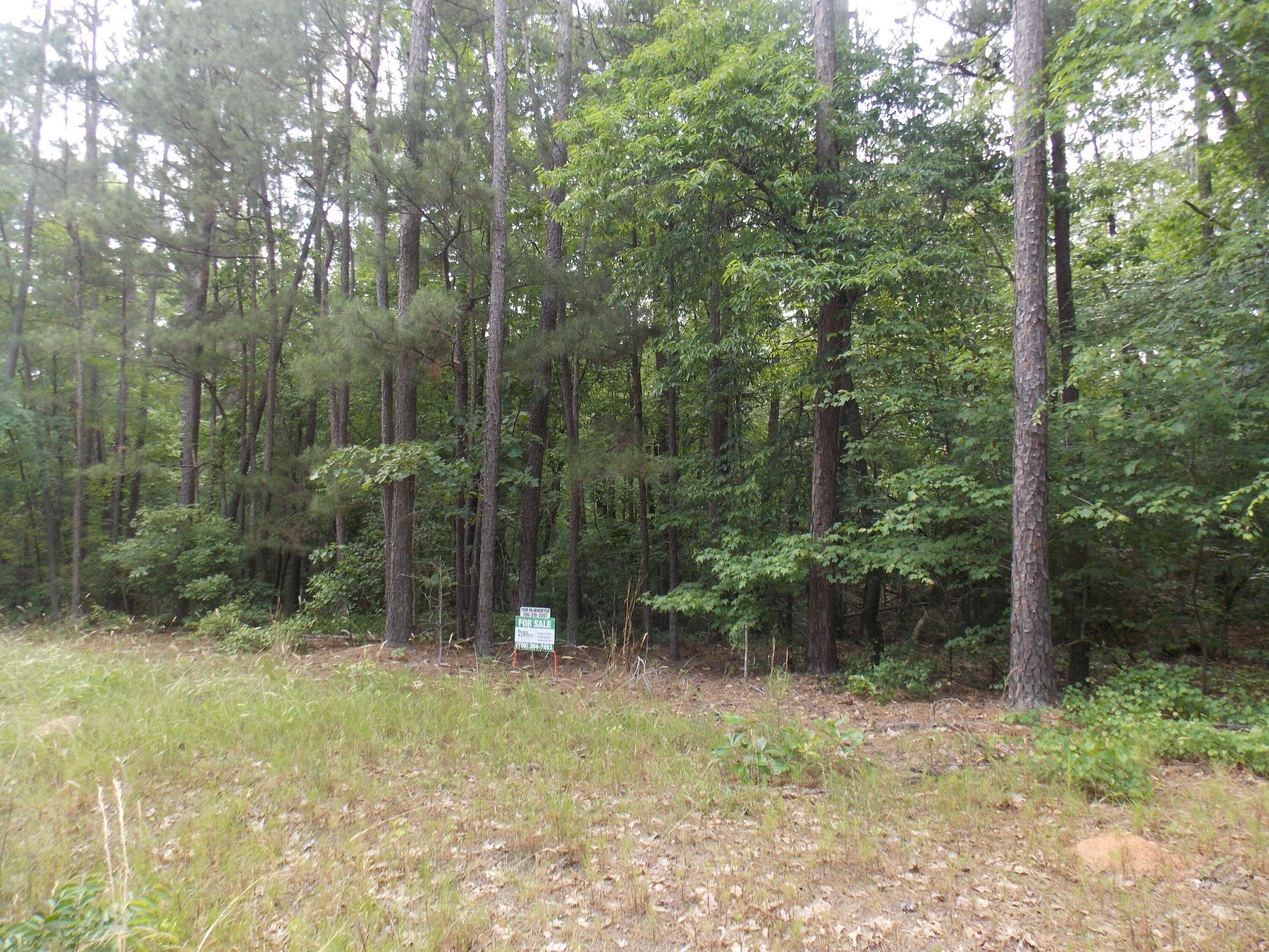 1.8 Acres of Residential Land for Sale in Tignall, Georgia