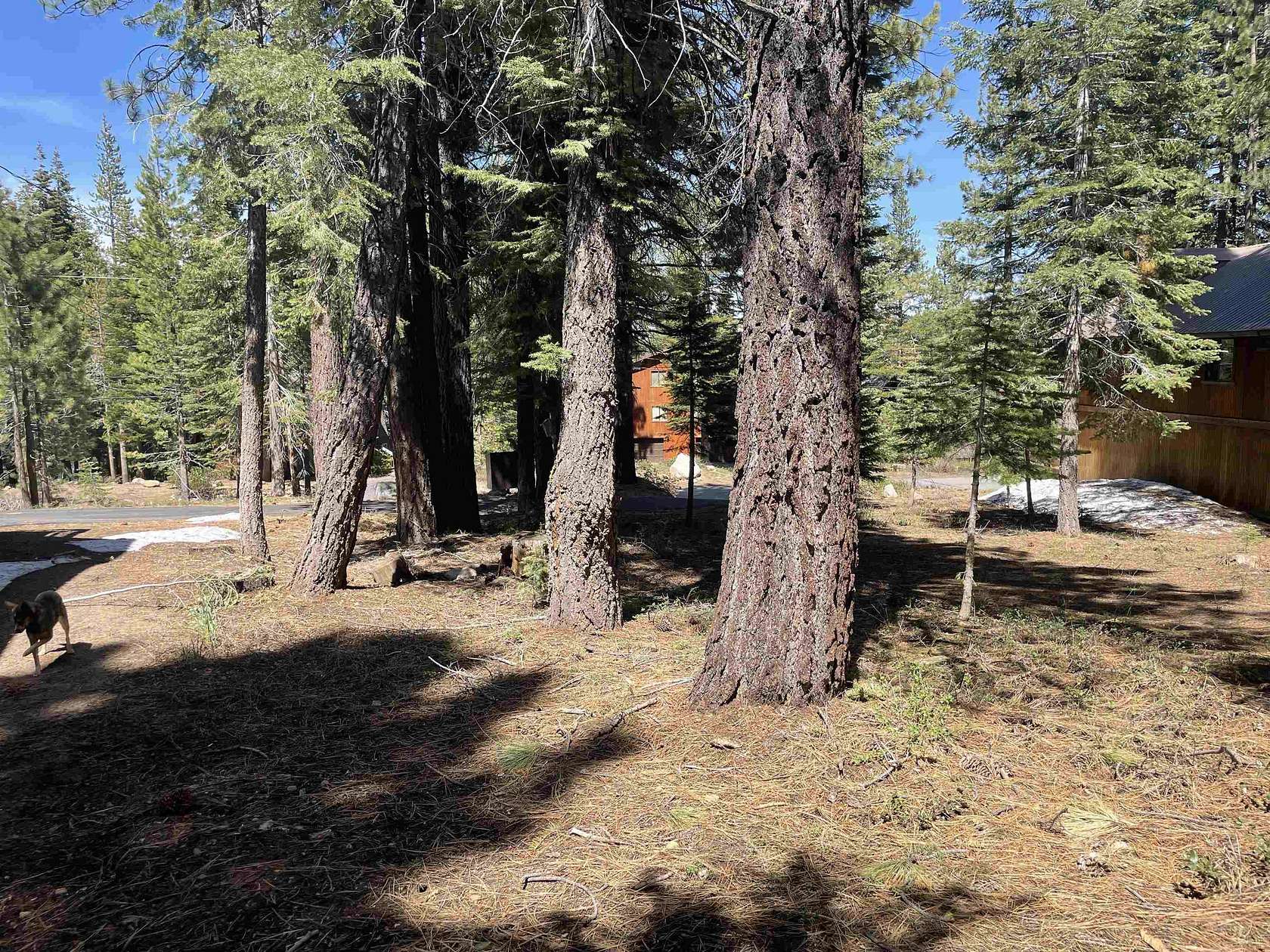 0.47 Acres of Residential Land for Sale in Truckee, California