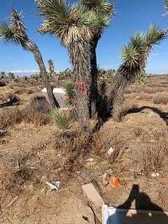 1.25 Acres of Commercial Land for Sale in Palmdale, California