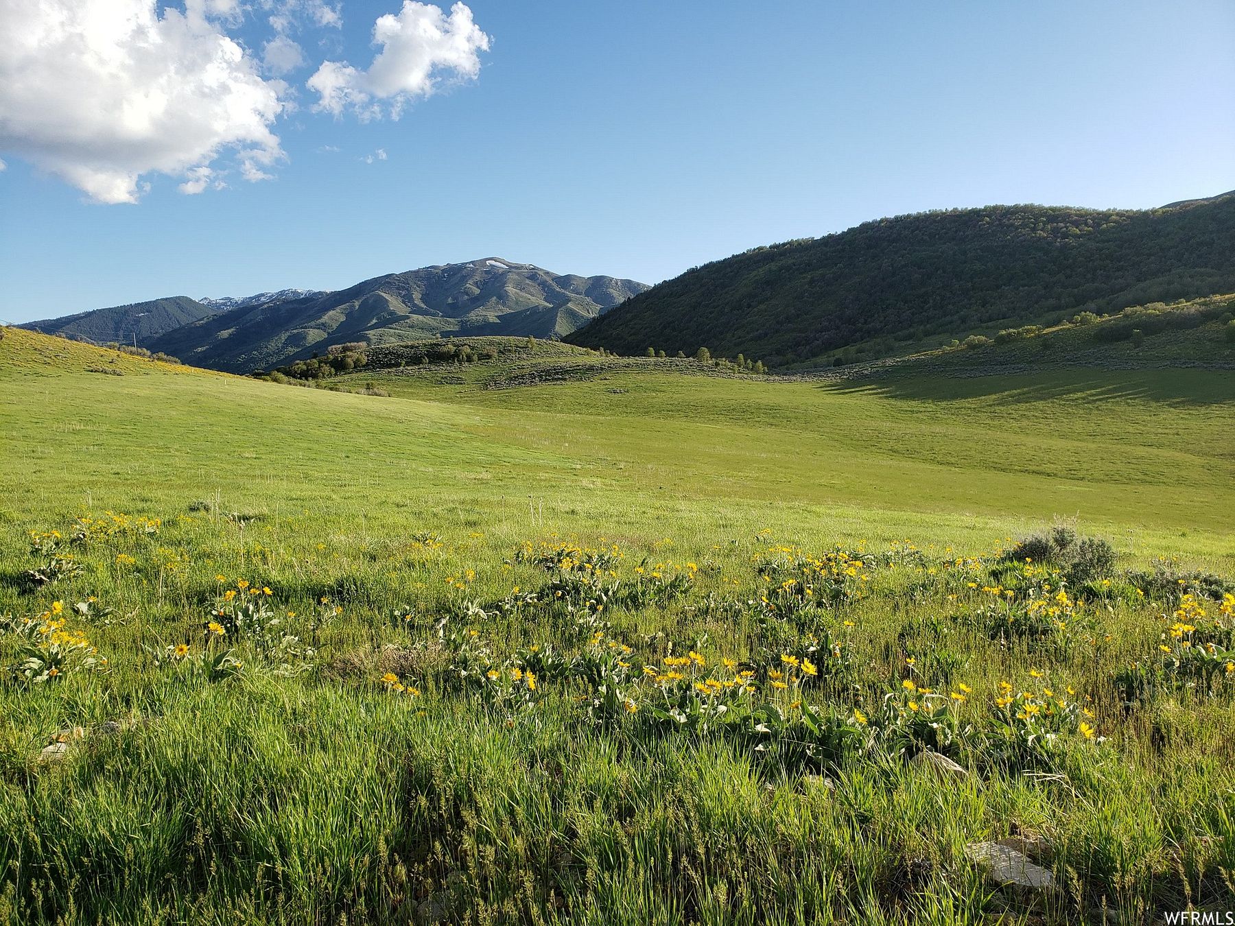 34 Acres of Recreational Land for Sale in Mantua, Utah