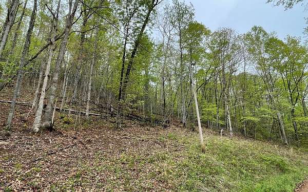 1.39 Acres of Land for Sale in Hayesville, North Carolina