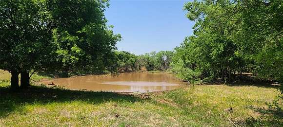 213.65 Acres of Land for Sale in Olney, Texas