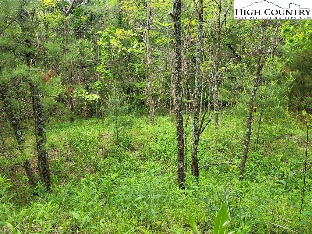 2.4 Acres of Land for Sale in Glendale Springs, North Carolina