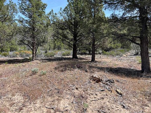 11.1 Acres of Land for Sale in Weed, California