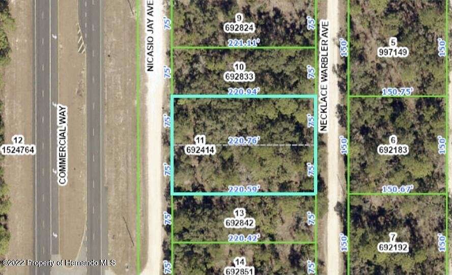 0.76 Acres of Commercial Land for Sale in Weeki Wachee, Florida