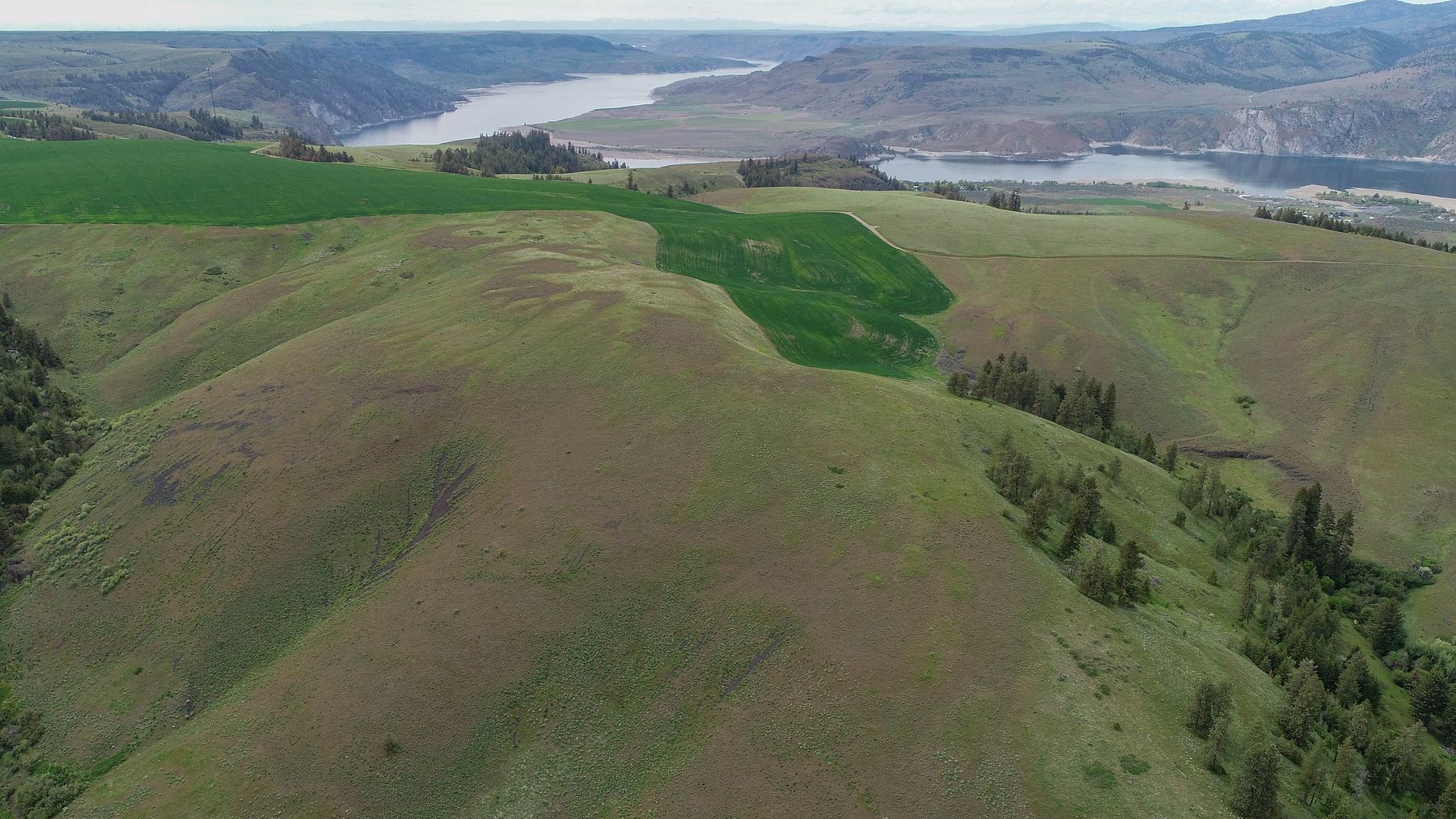 602 Acres of Land for Sale in Wilbur, Washington