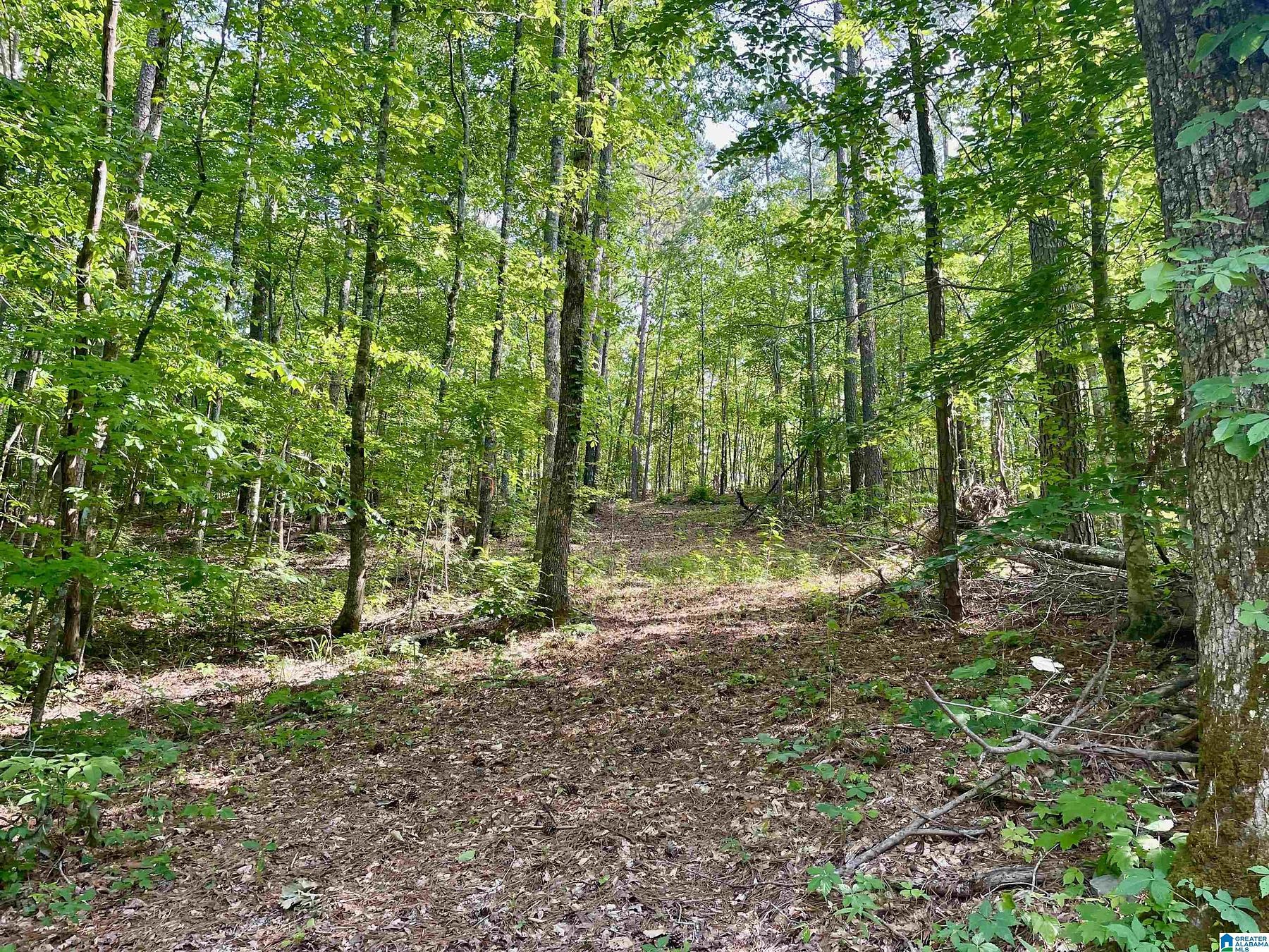 1 Acre of Land for Sale in Springville, Alabama