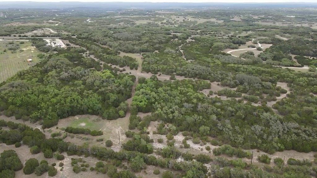 46.5 Acres of Agricultural Land for Sale in Fischer, Texas