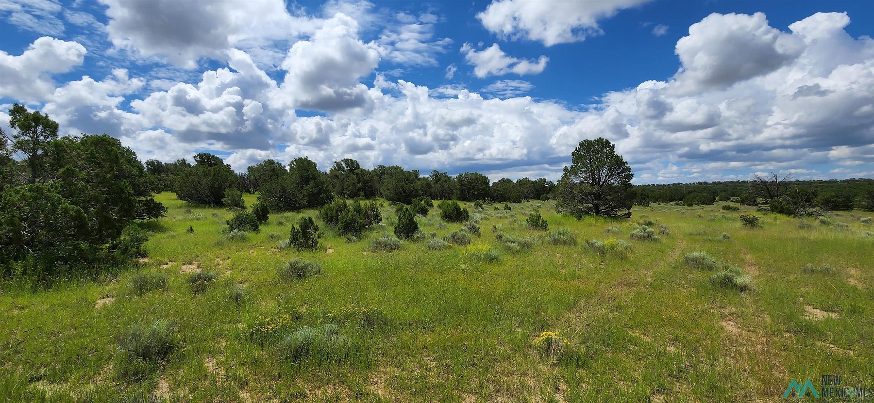 141 Acres of Land for Sale in Pie Town, New Mexico