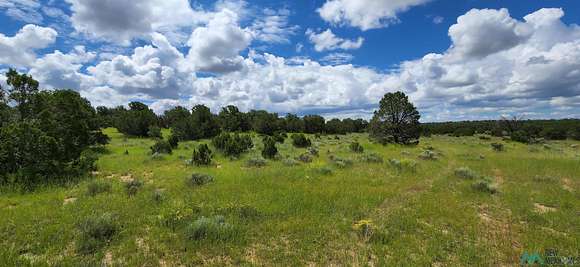 141.34 Acres of Land for Sale in Pie Town, New Mexico