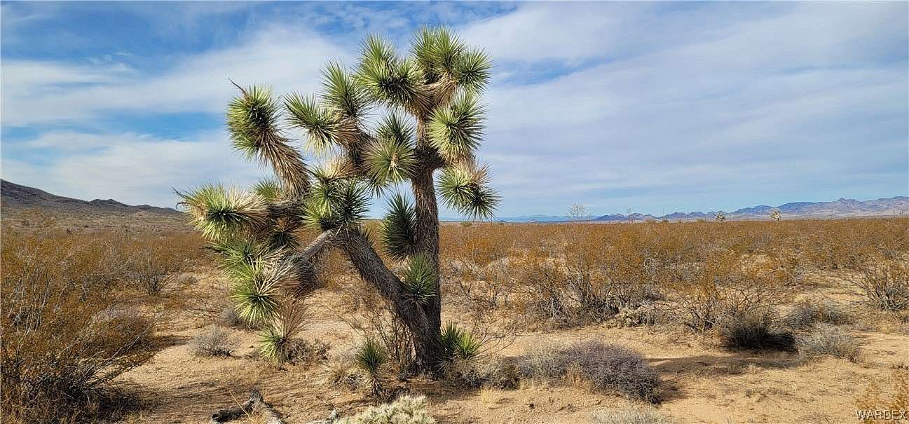 160 Acres of Recreational Land for Sale in Yucca, Arizona