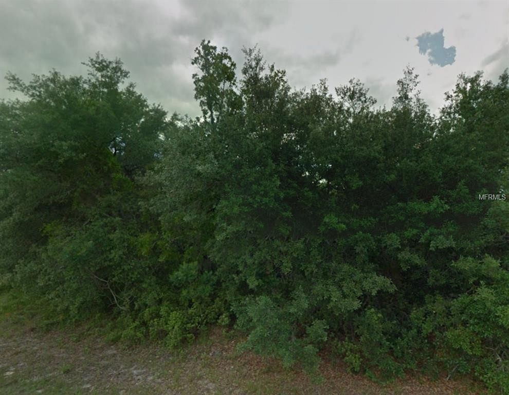 0.32 Acres of Residential Land for Sale in Poinciana, Florida
