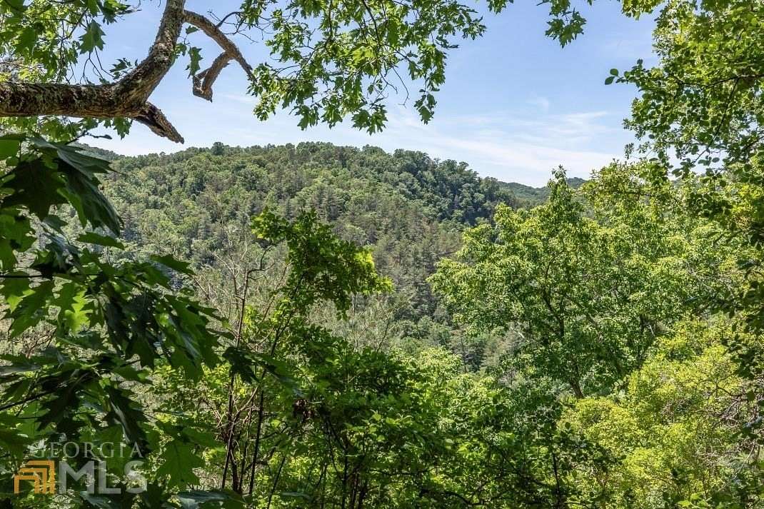 2.29 Acres of Residential Land for Sale in Ranger, Georgia