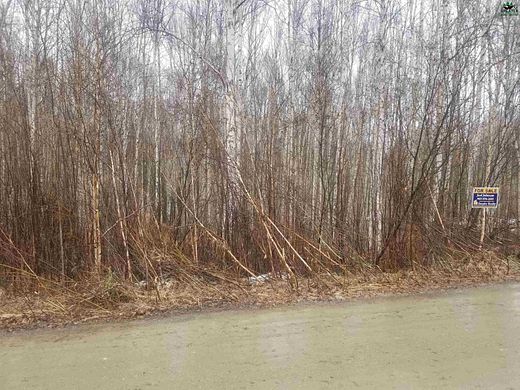 1.7 Acres of Residential Land for Sale in Fairbanks, Alaska