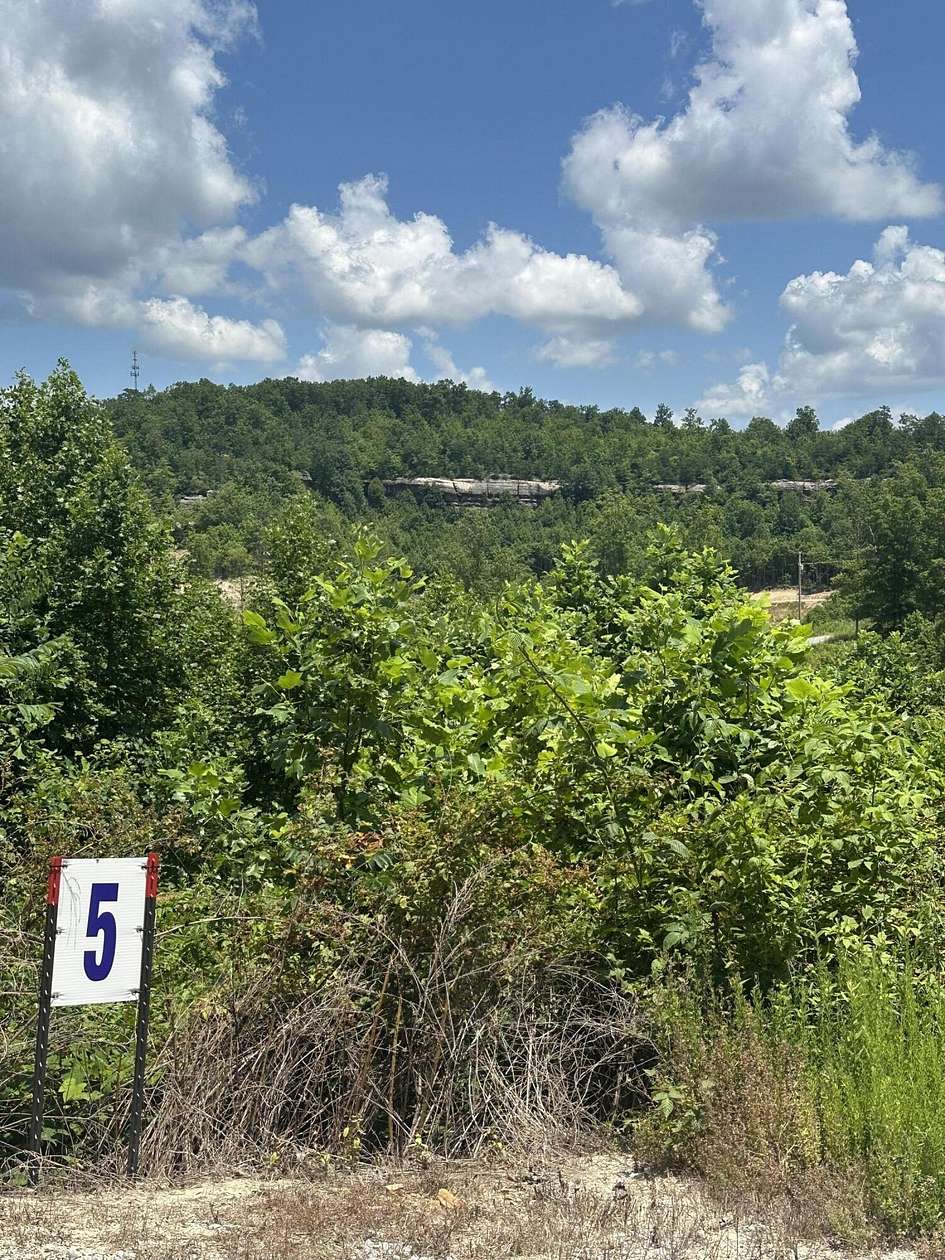 0.78 Acres of Land for Sale in East Bernstadt, Kentucky