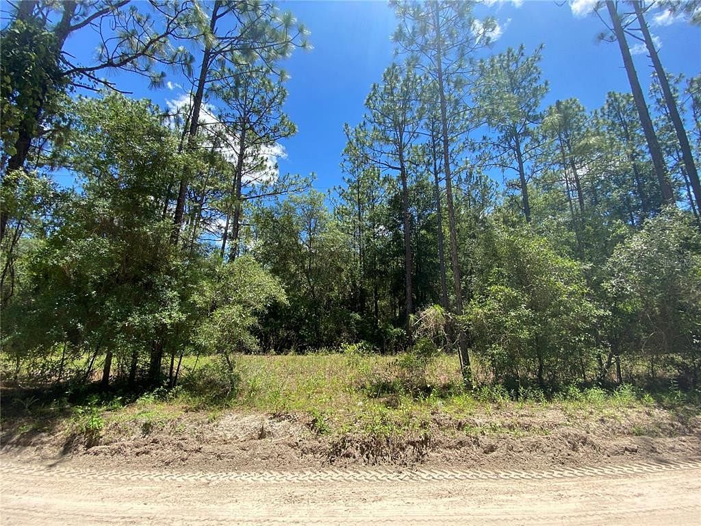 10 Acres of Land for Sale in Williston, Florida