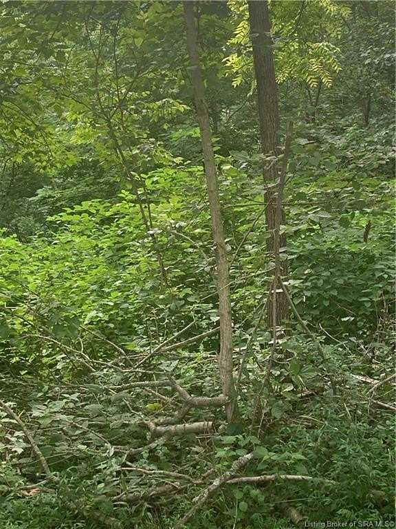 0.15 Acres of Residential Land for Sale in French Lick, Indiana