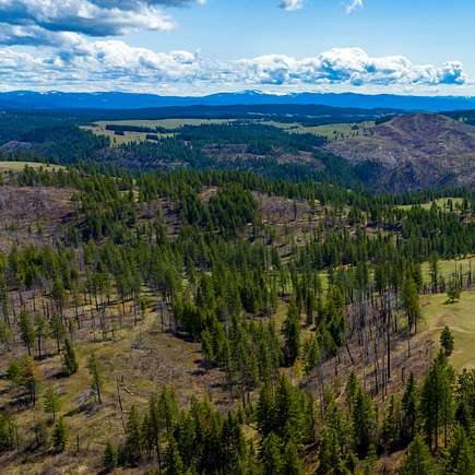 20.2 Acres of Recreational Land & Farm for Sale in Weippe, Idaho