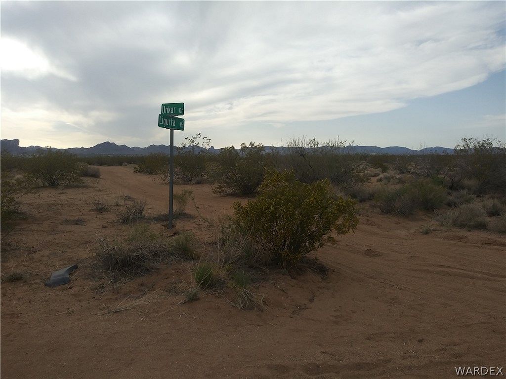 40 Acres of Agricultural Land for Sale in Golden Valley, Arizona