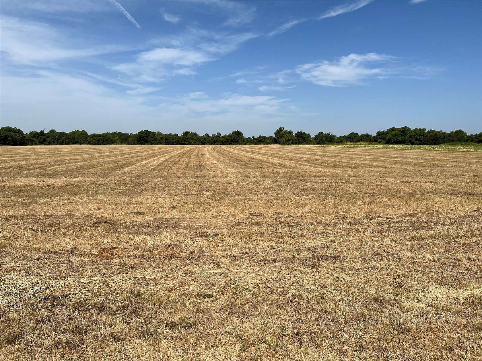 5.47 Acres of Residential Land for Sale in Sadler, Texas