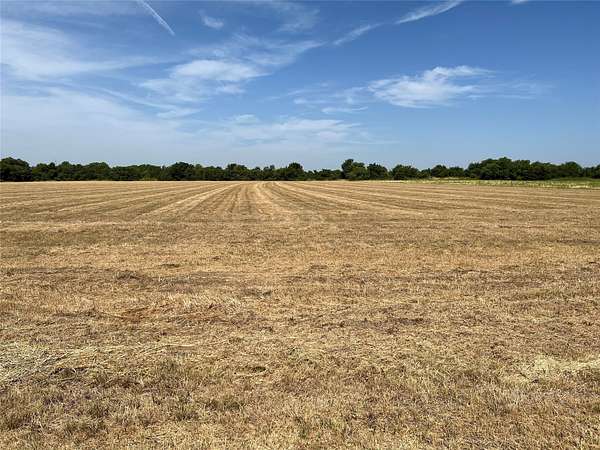 5.47 Acres of Residential Land for Sale in Sadler, Texas