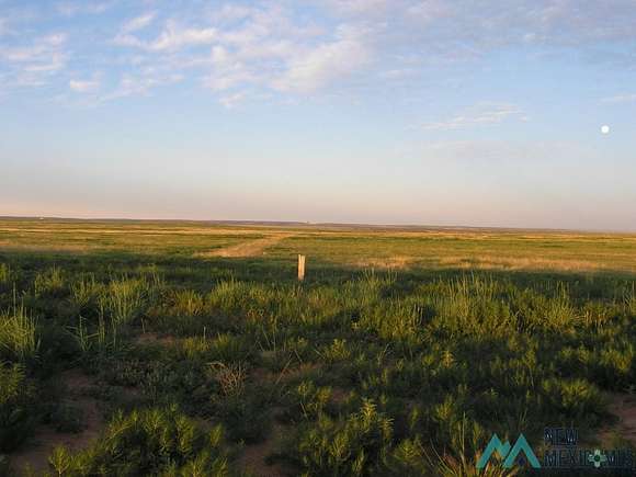 80 Acres of Agricultural Land for Sale in Roy, New Mexico