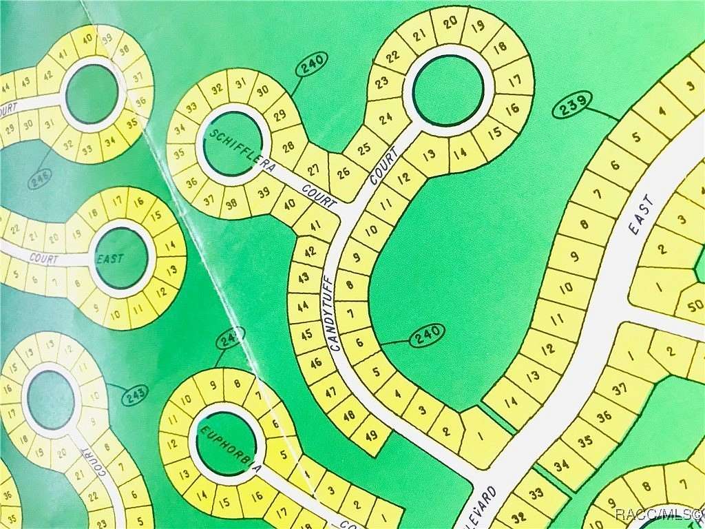 0.28 Acres of Residential Land for Sale in Homosassa, Florida