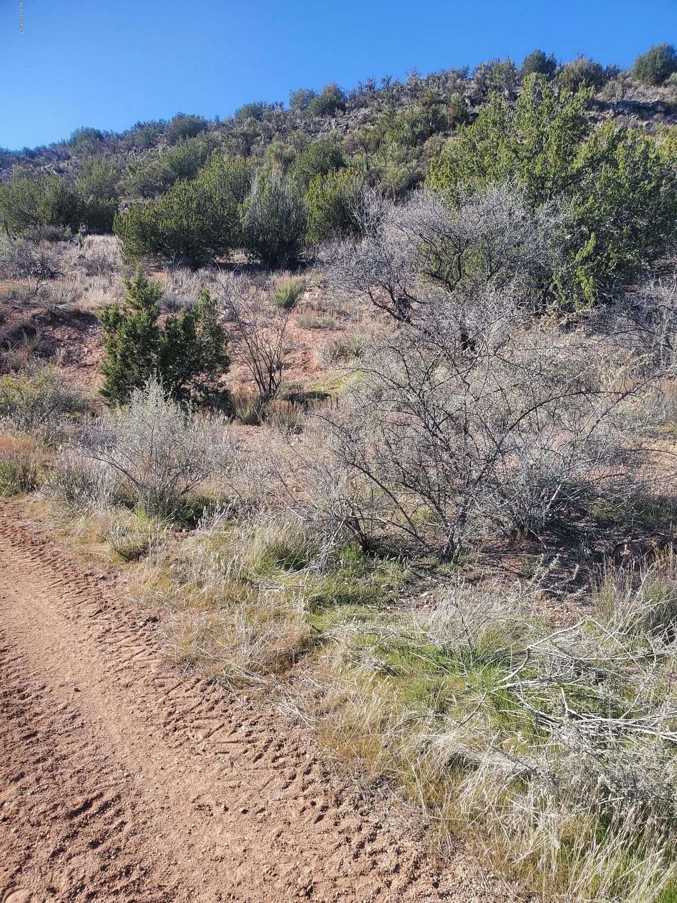 0.76 Acres of Residential Land for Sale in Rimrock, Arizona