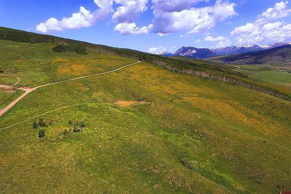 47.3 Acres of Recreational Land for Sale in Almont, Colorado