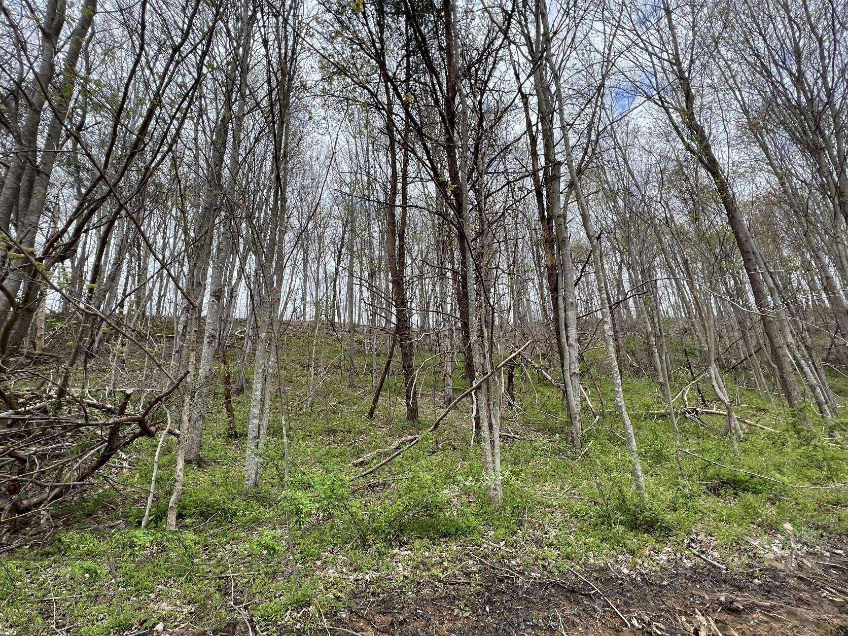 0.65 Acres of Residential Land for Sale in London, Kentucky