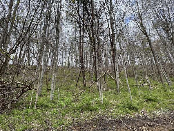 0.65 Acres of Residential Land for Sale in London, Kentucky