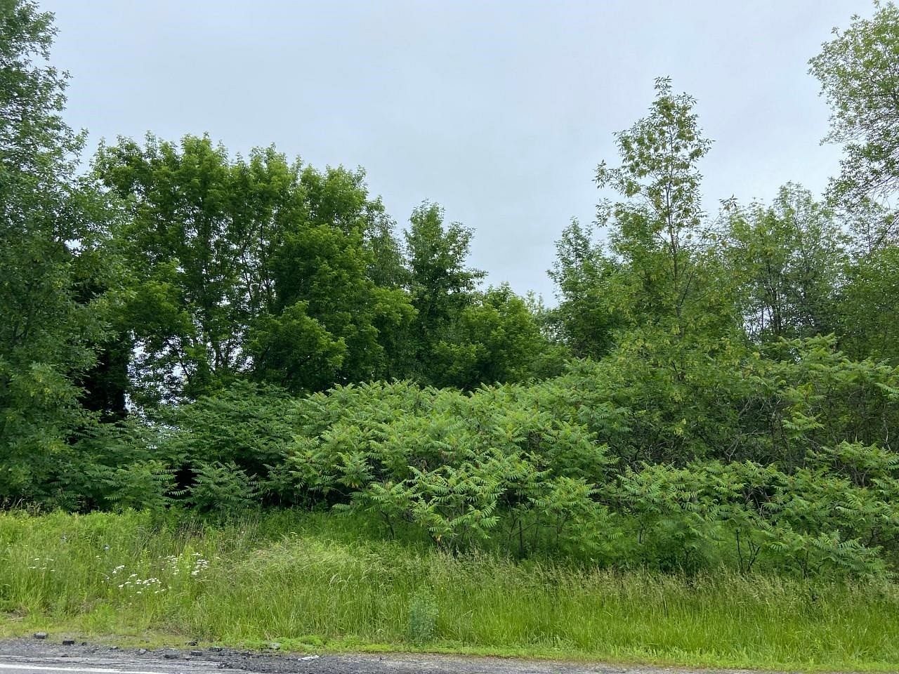 0.26 Acres of Land for Sale in Massena, New York