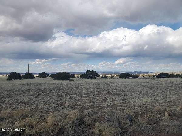 1 Acre of Residential Land for Sale in Concho, Arizona