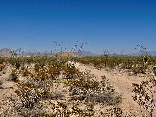 20 Acres of Recreational Land for Sale in Terlingua, Texas