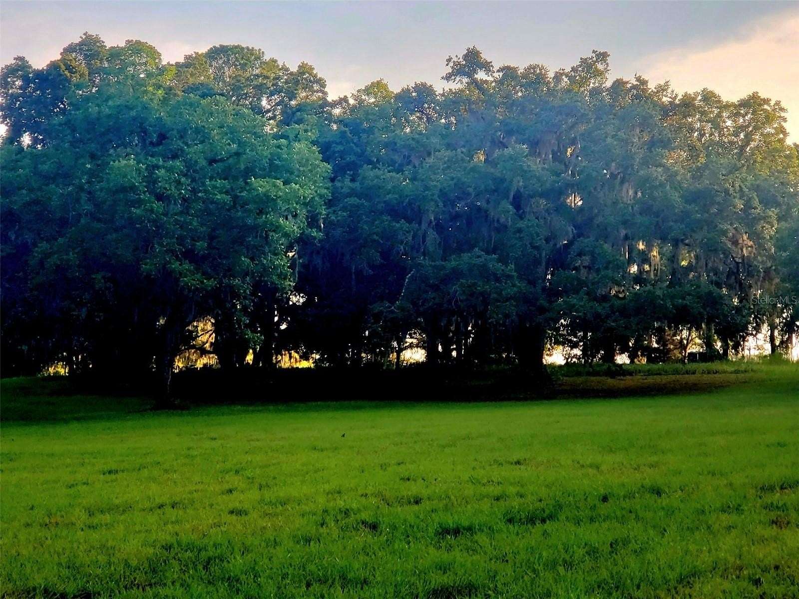 49.5 Acres of Agricultural & Residential Land for Sale in Ocala, Florida
