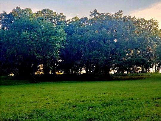 49.5 Acres of Agricultural Land for Sale in Ocala, Florida
