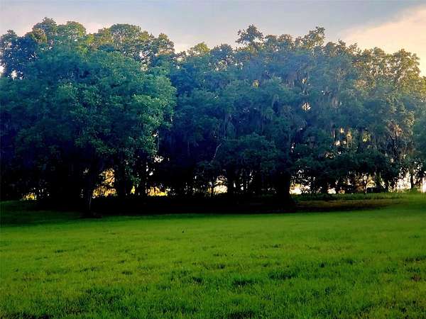 49.5 Acres of Agricultural & Residential Land for Sale in Ocala, Florida