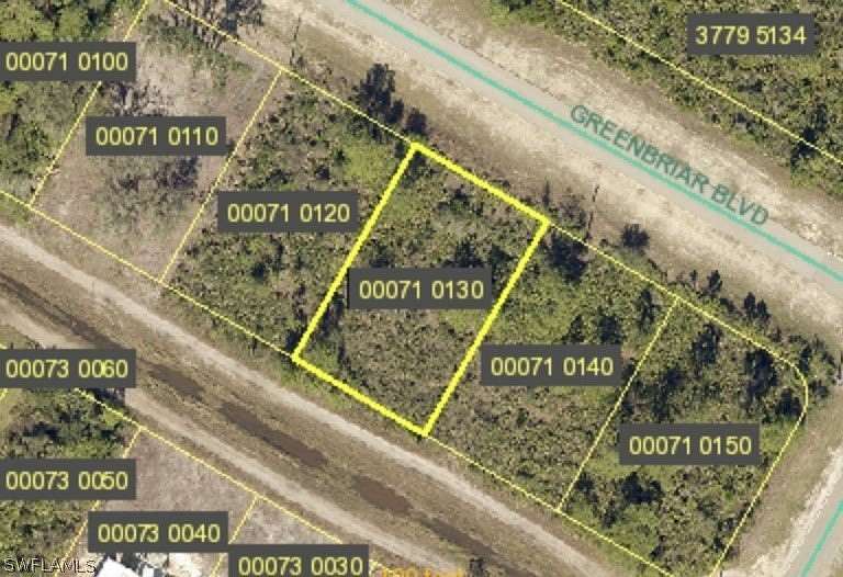 0.3 Acres of Residential Land for Auction in Lehigh Acres, Florida