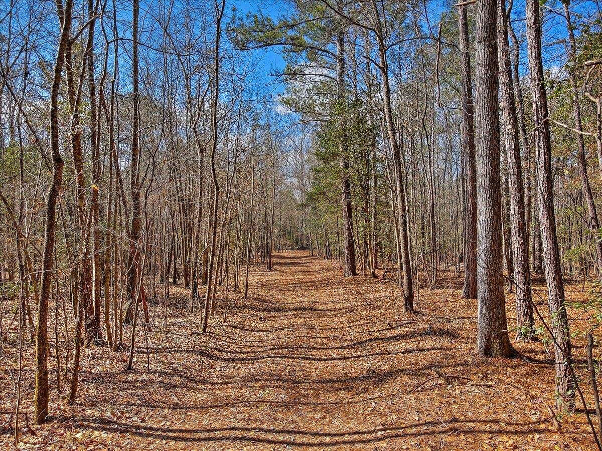 65.1 Acres of Land for Sale in Grovetown, Georgia