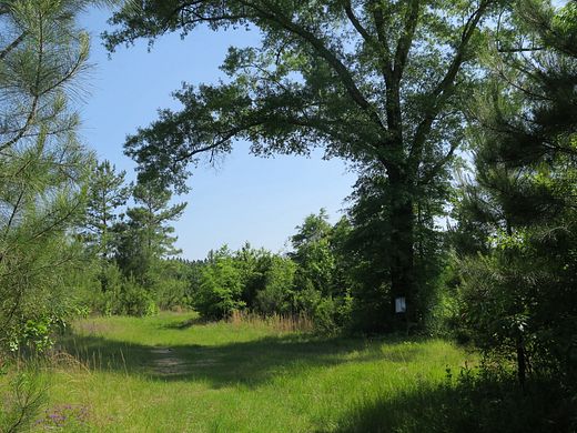 320 Acres of Recreational Land for Sale in Richton, Mississippi