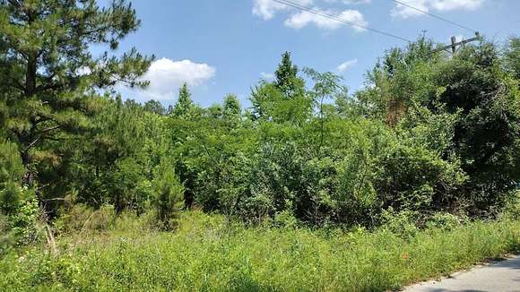 0.62 Acres of Residential Land for Sale in Manning, South Carolina