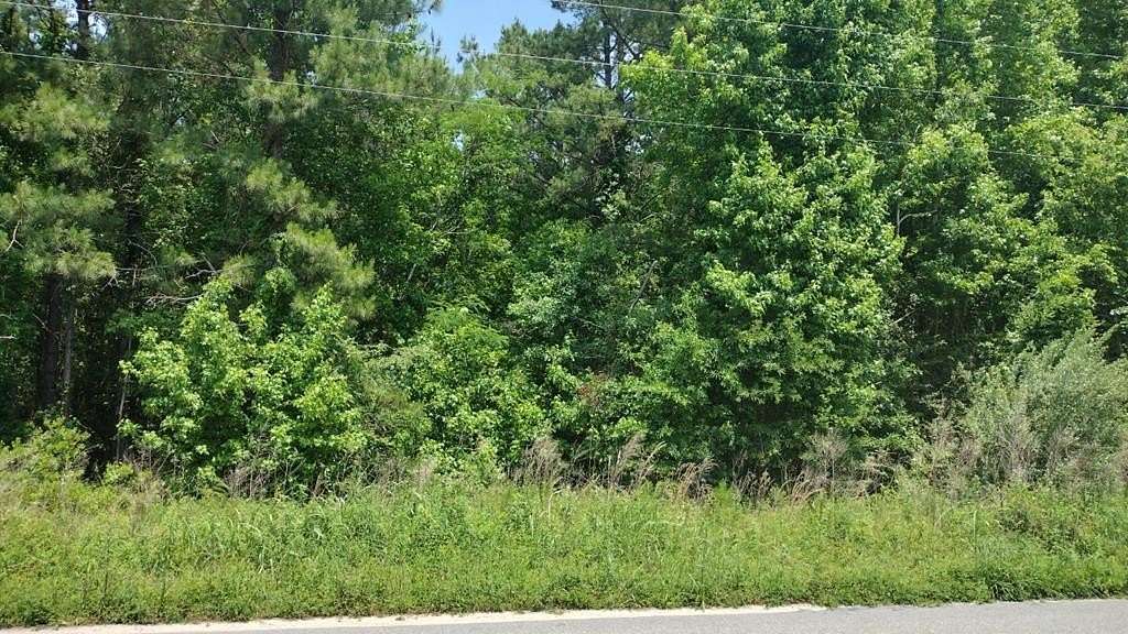 0.7 Acres of Land for Sale in Manning, South Carolina