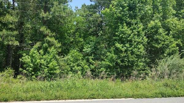 0.7 Acres of Land for Sale in Manning, South Carolina