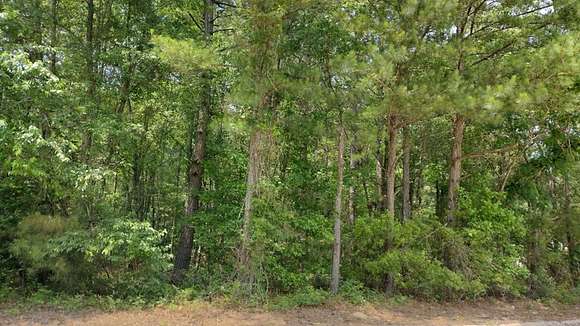 1.6 Acres of Residential Land for Sale in Manning, South Carolina
