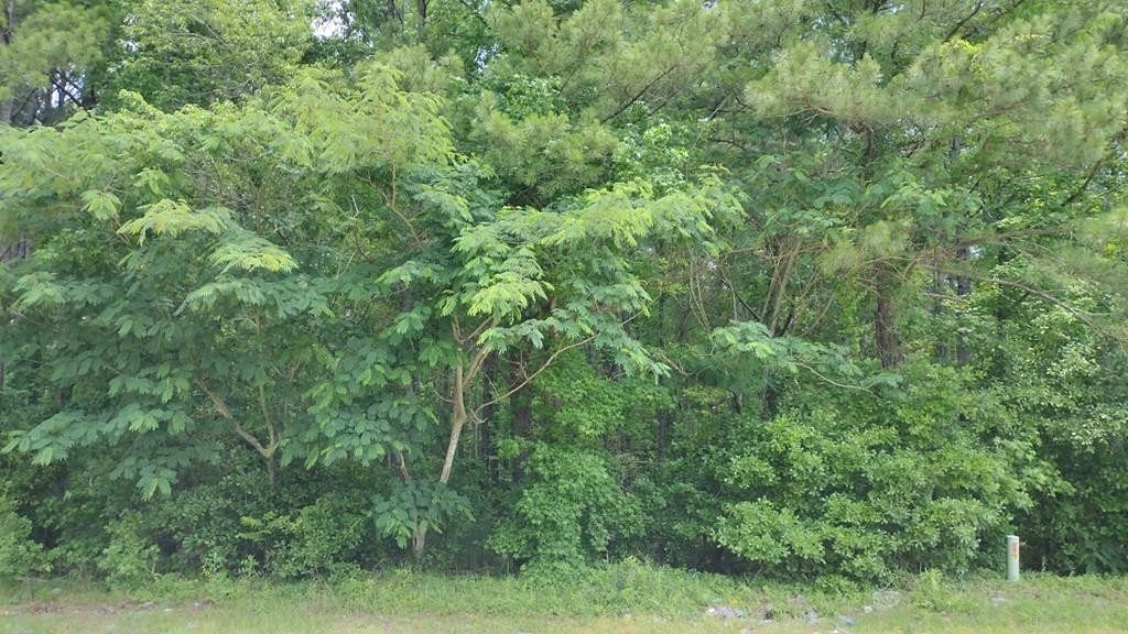 0.71 Acres of Land for Sale in Manning, South Carolina